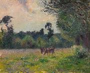 Camille Pissarro, Vaches dans un pre, soleil couchant